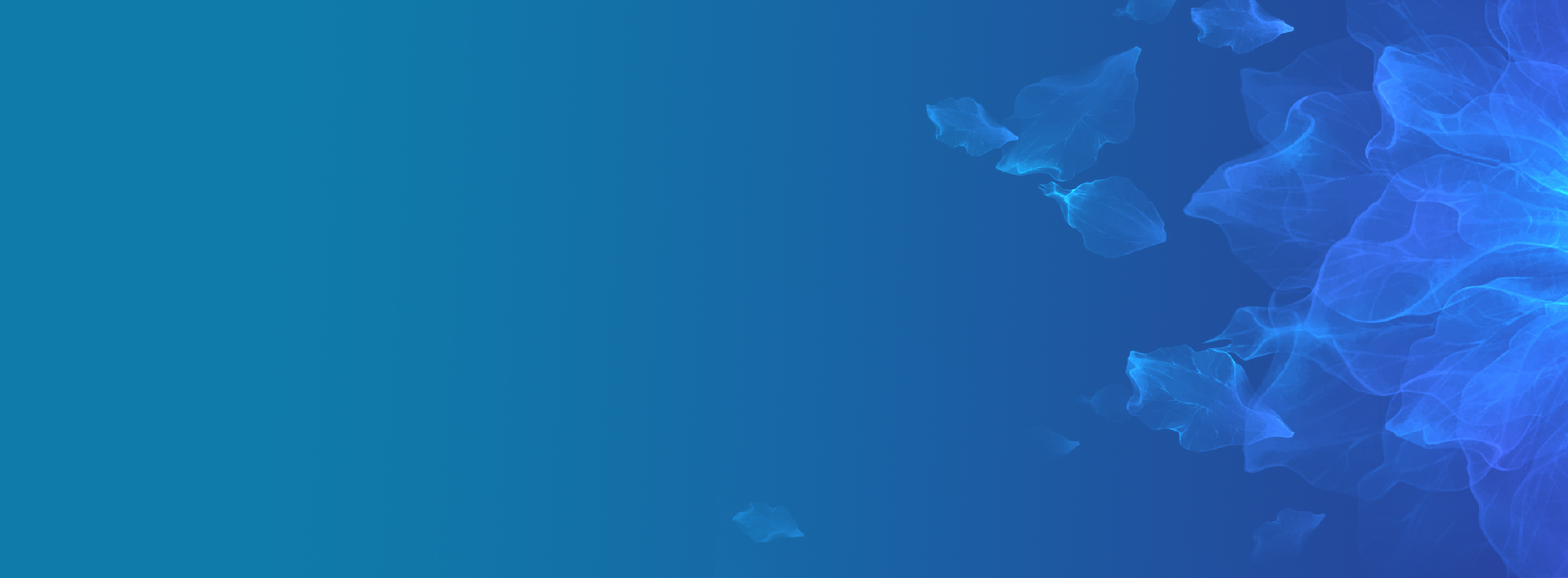 akdeniz-company-slider
